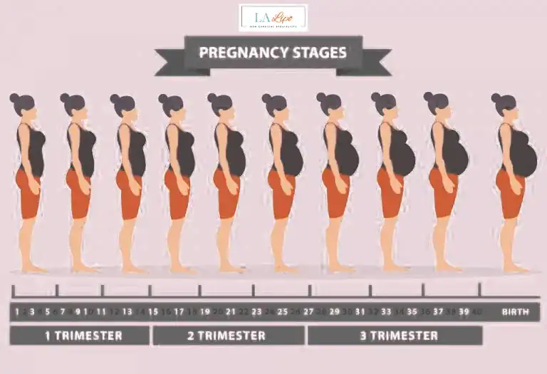 First Trimester (Weeks 1–12): Early Changes You Might Not Notice Glossop